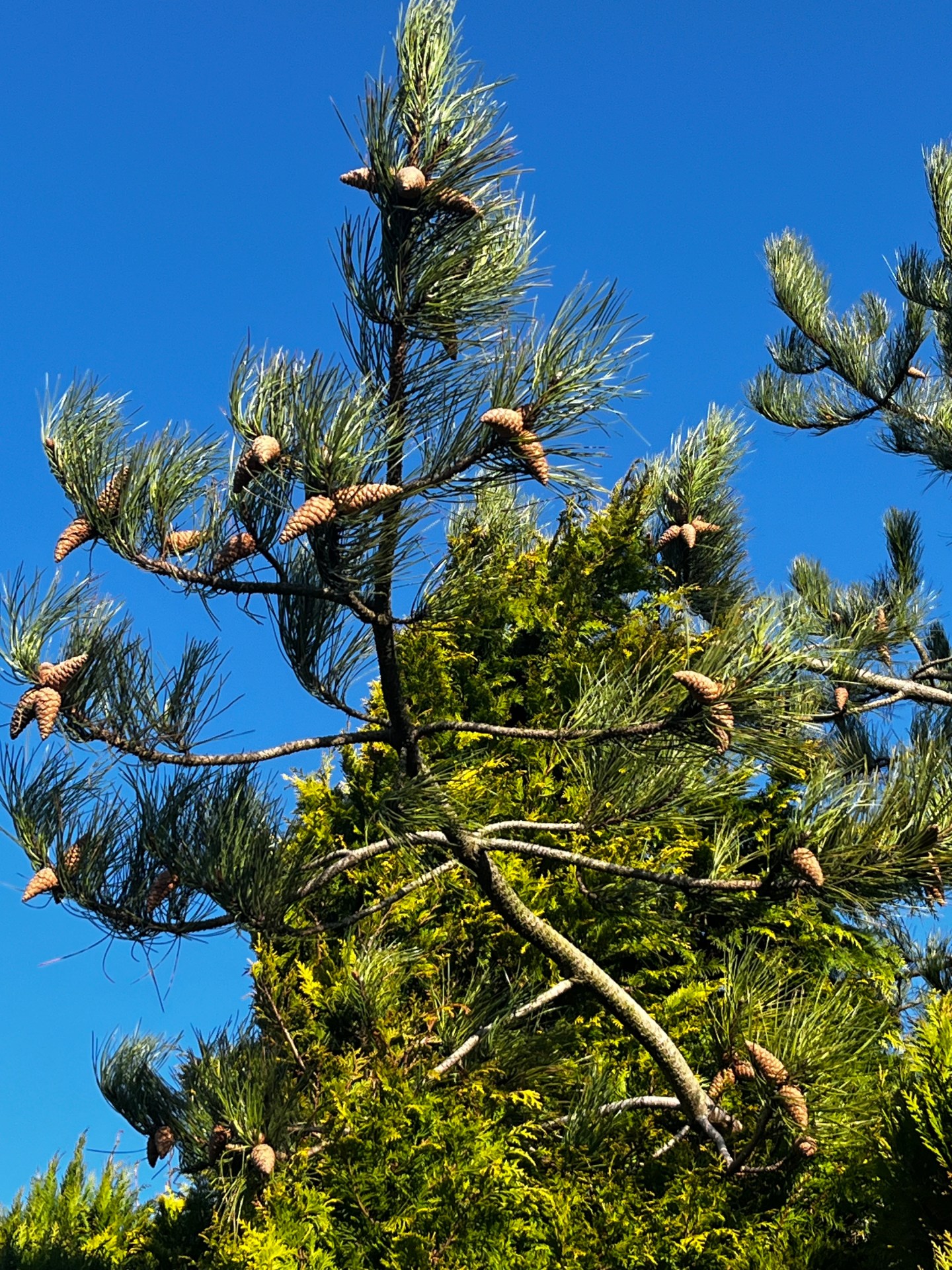 20th February -26th&nbsp;February