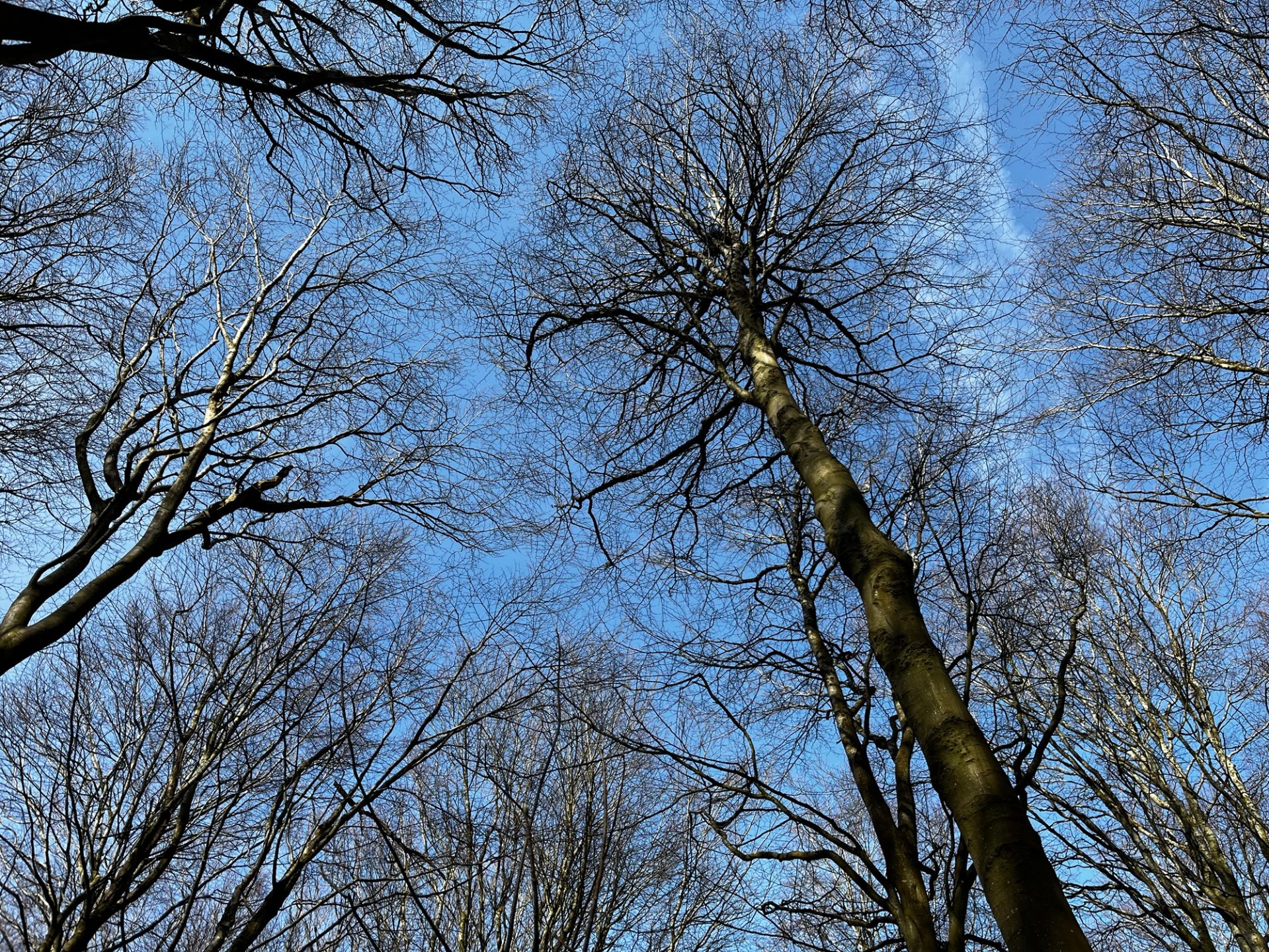 March 5th – March&nbsp;10th