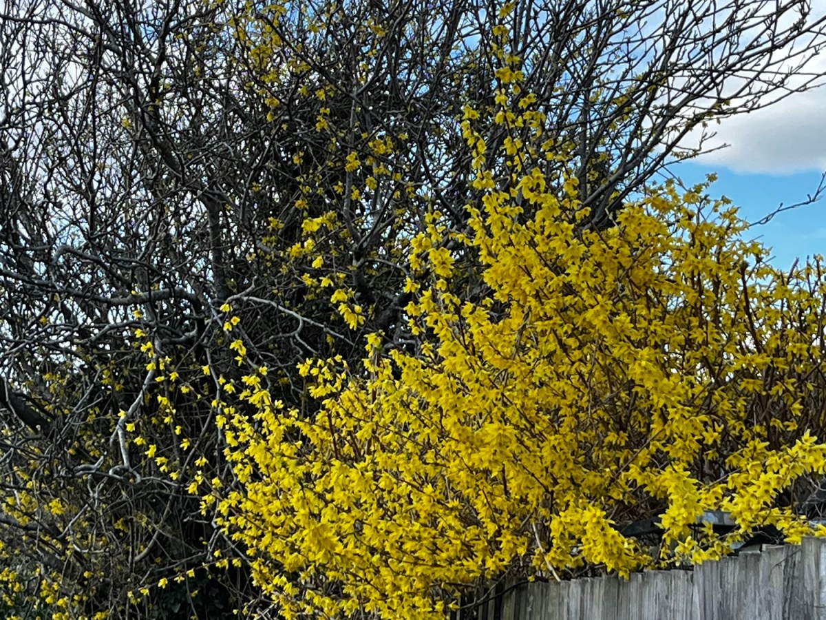 25th March – 30th&nbsp;March