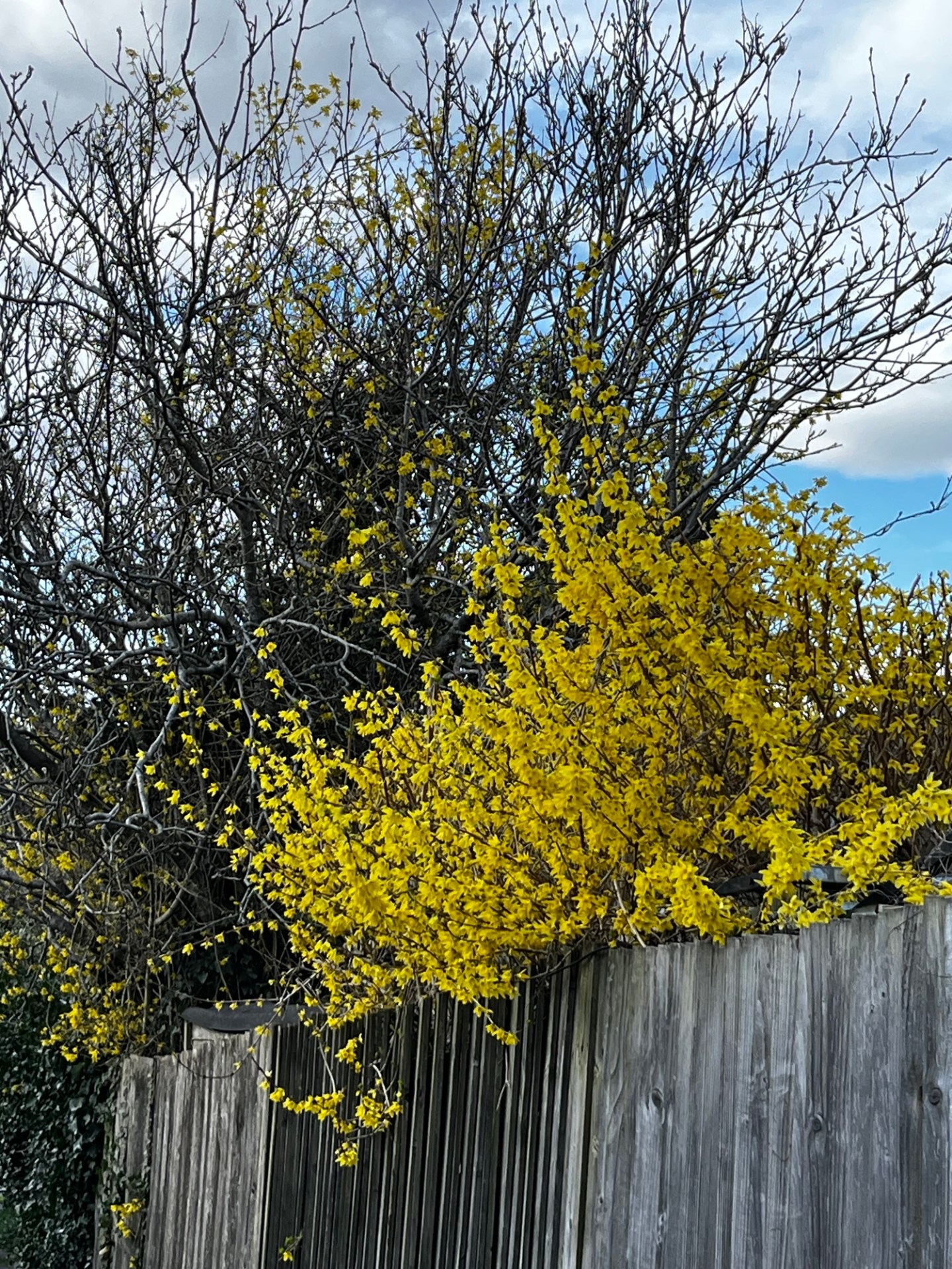 25th March – 30th&nbsp;March