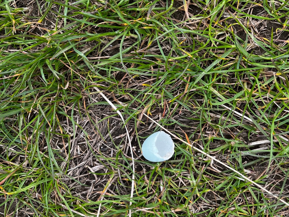 13th April – 18th&nbsp;April