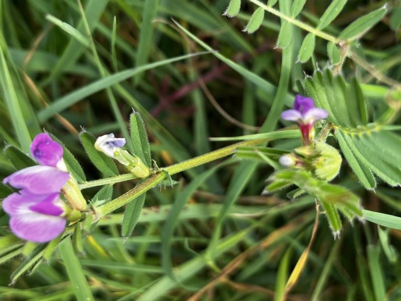 19th April – 26th&nbsp;April