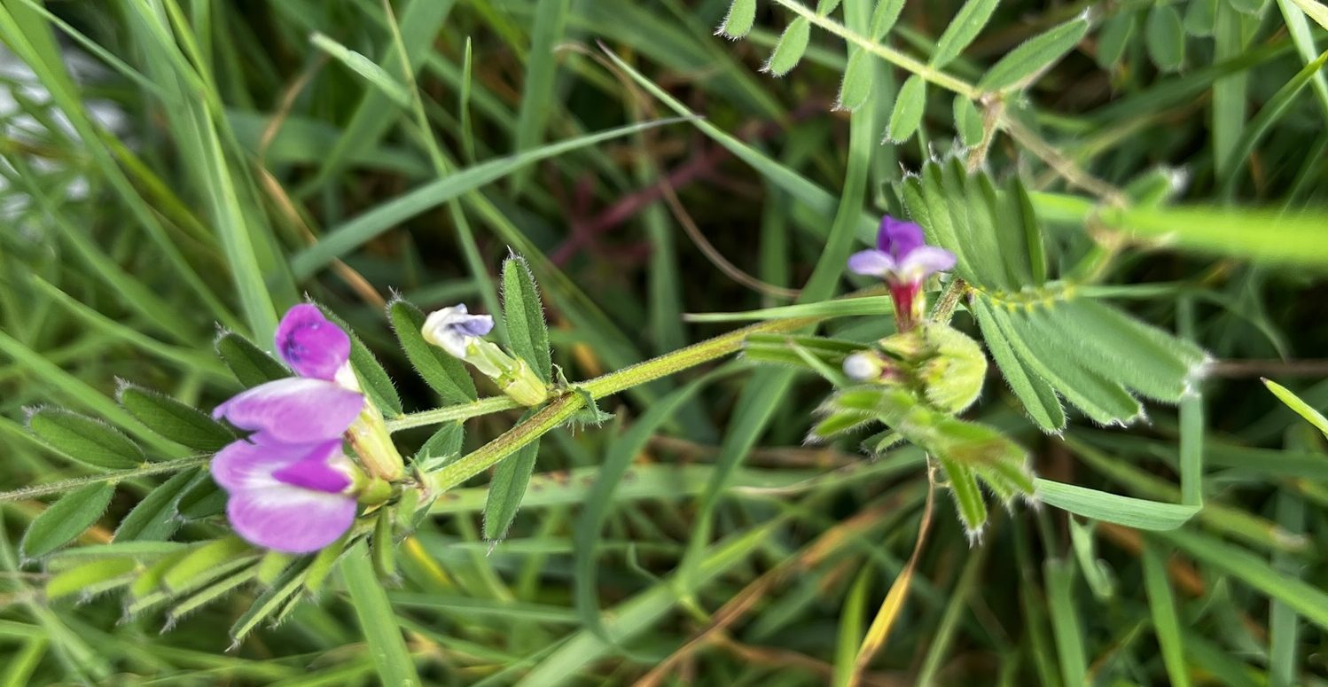 19th April – 26th&nbsp;April